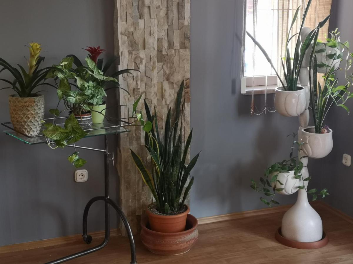 Hotello Apartmanház és Panzió Zalaegerszeg Esterno foto